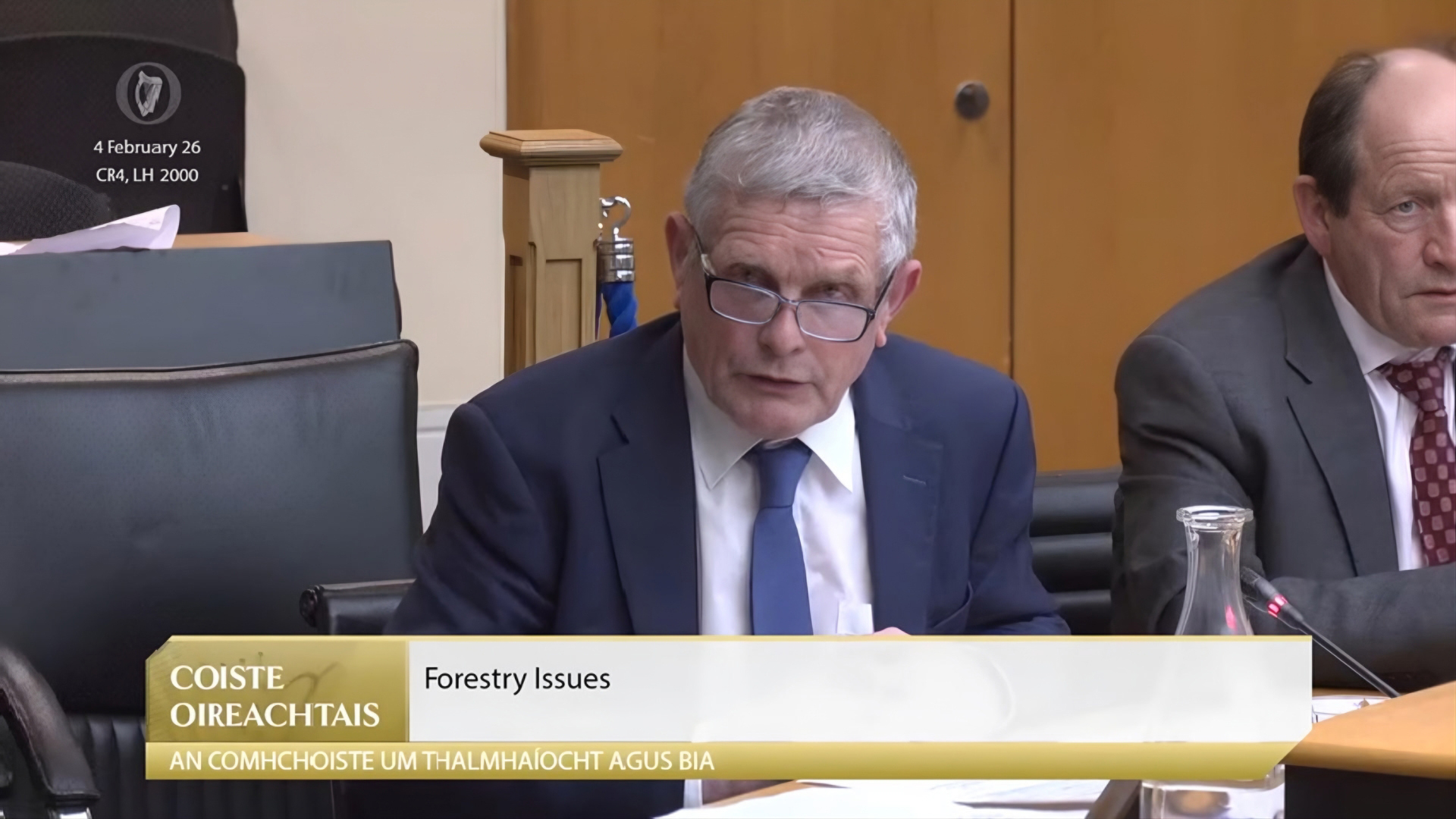 Ash‑dieback burden should not be left with landowners – Cooney